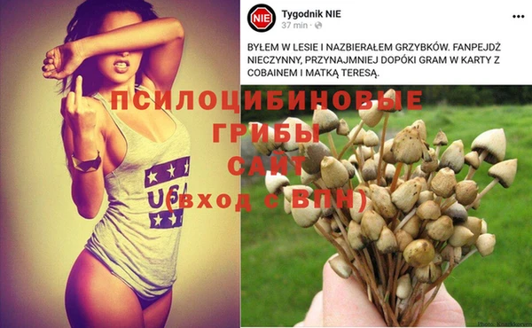 соль курить ск Балабаново