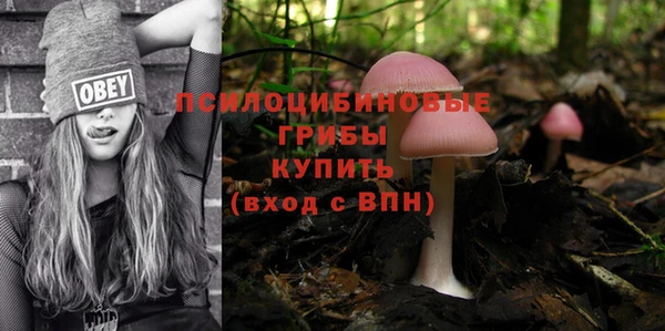 соль курить ск Балабаново