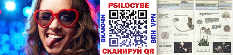 Галлюциногенные грибы Psilocybe  Верея 