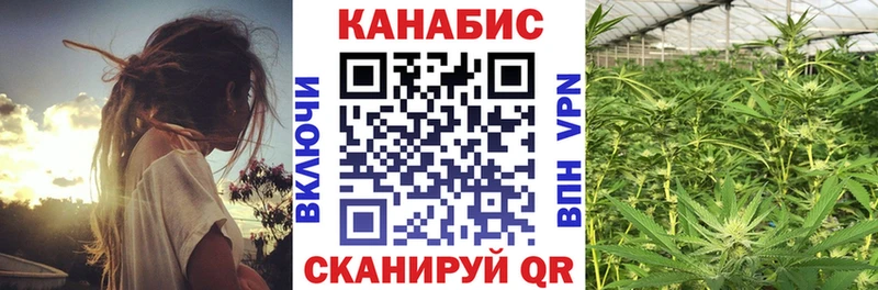 Конопля семена  Верея 